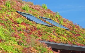 Lower Turmer living roof systems